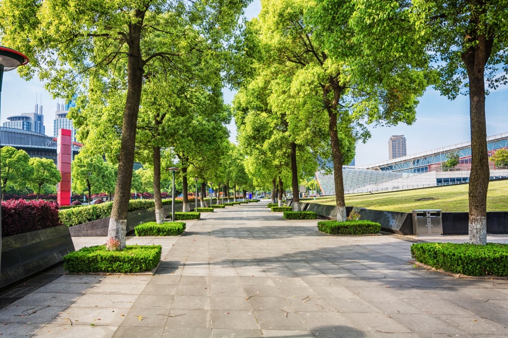 parque-ciudad-calle-estructura-arboles